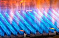 Lacasaidh gas fired boilers